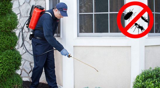 Arhavi Kemirgen İlaçlama böcek ilaçlama ve haşere kontrolü — ilaclama-tr.com